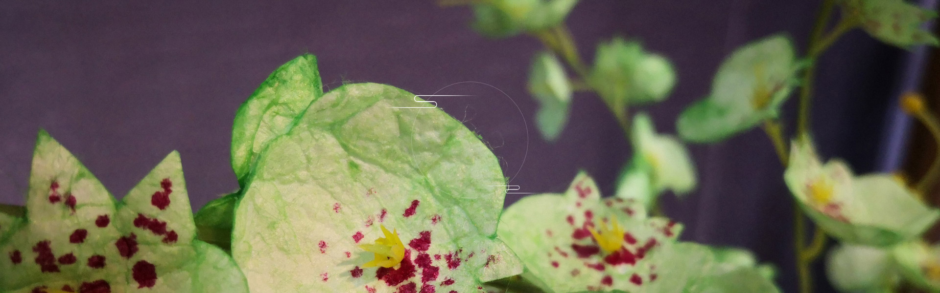 yy易游官网下载